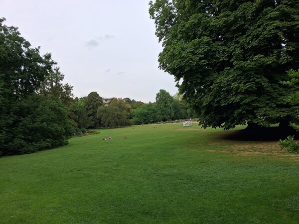 Weitläufige grüne Parkwiese mit großen schattenspendenden Bäumen und einzelnen Menschen im Hintergrund.