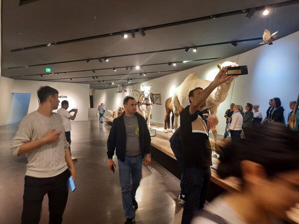 In einem Museum betrachten Besucherinnen und Besucher verschiedene Exponate, darunter ein großes Kamelmodell. Einige Personen machen Fotos oder betrachten die Ausstellungsstücke.