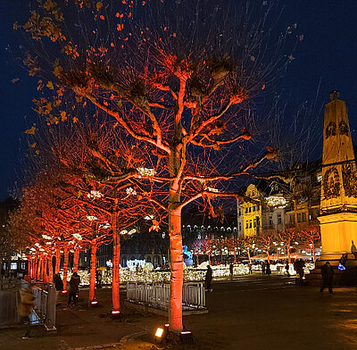 Wir wünschen eine frohe Advents- und Weihnachtszeit Wir wünschen eine frohe Advents- und Weihnachtszeit