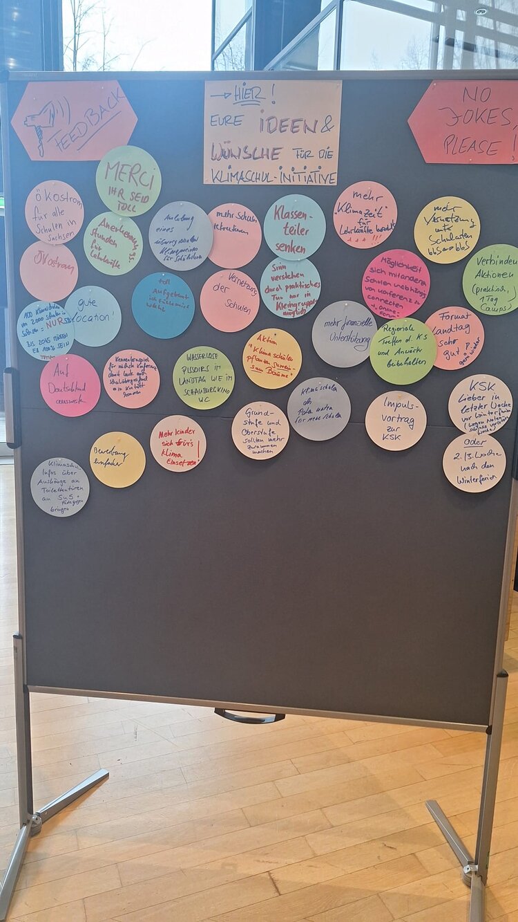 Eine Pinnwand mit bunten Zetteln unter der Überschrift "Eure Ideen und Wünsche für die Klimaschul-Initiative".