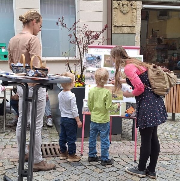 Zwei Kinder und zwei Erwachsene stehen vor einer Tafel mit Tierfotos beim Naturquiz der Euro-Schulen. Eine Erwachsene erklärt den Kindern das Spiel. Die Aktion ist Teil des Frühlingsfests in Hohenstein-Ernstthal.