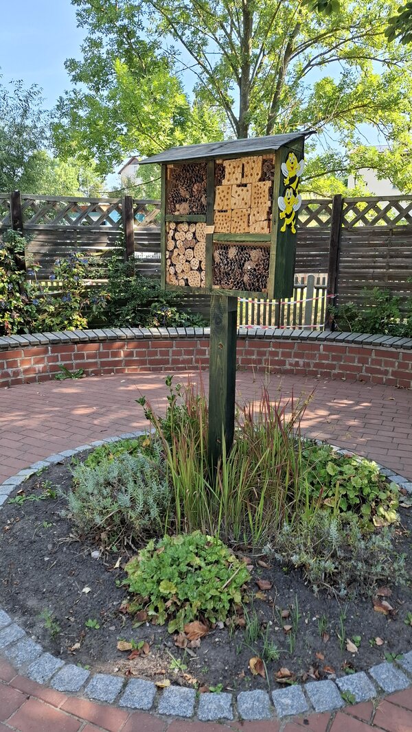 Auf dem Bild ist ein kleiner Baum zu sehen, an dem ein Insektenhotel gehängt wurde.