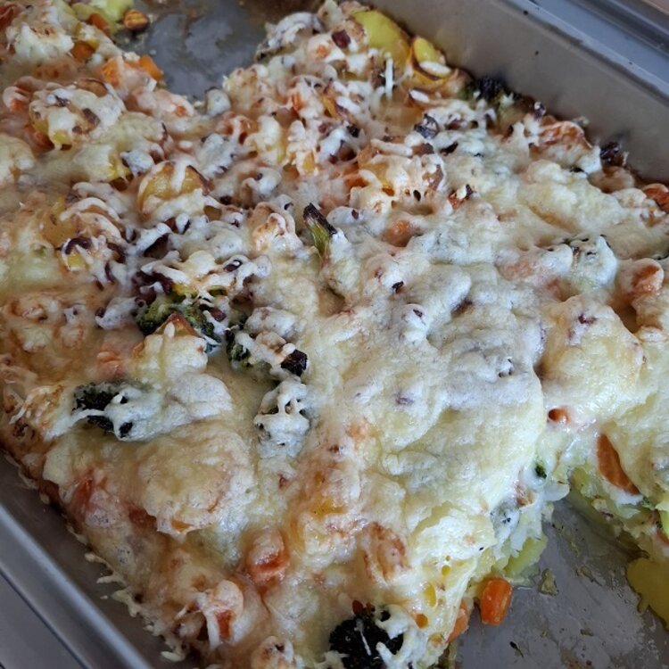 Der selbst zubereitete Gemüseauflauf auf dem Blech, mit Käse überbacken. 