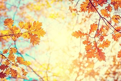Willkommen zurück aus den Herbstferien! Willkommen zurück aus den Herbstferien!