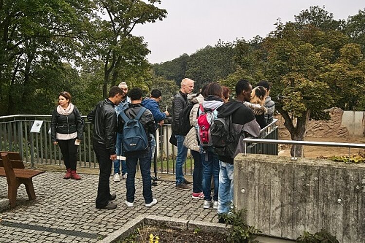 Deutsch lernen beim Zoobesuch Deutsch lernen beim Zoobesuch