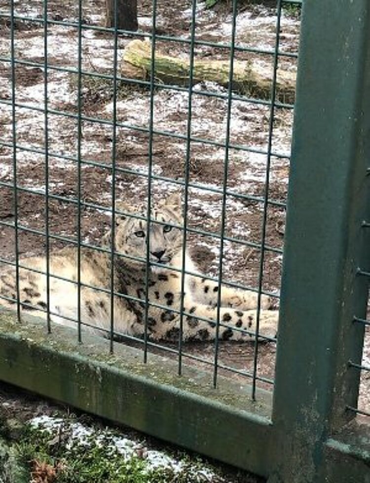 Ausflug zum Berliner Tierpark