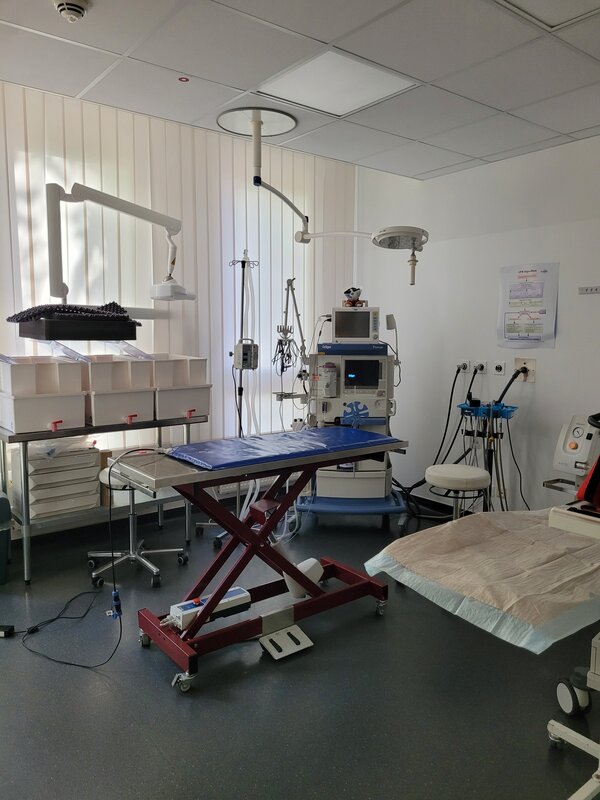 Behandlungs- und Operationsraum einer Tierarztpraxis mit höhenverstellbarem Untersuchungstisch, medizinischen Geräten, Monitoren, Infusionsständern und OP-Leuchten.