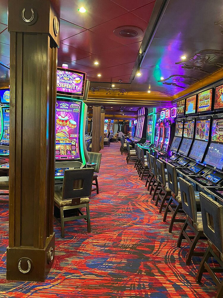 Touristisches Wissen erfahren bei der Schiffsbesichtigung der Carnival Pride