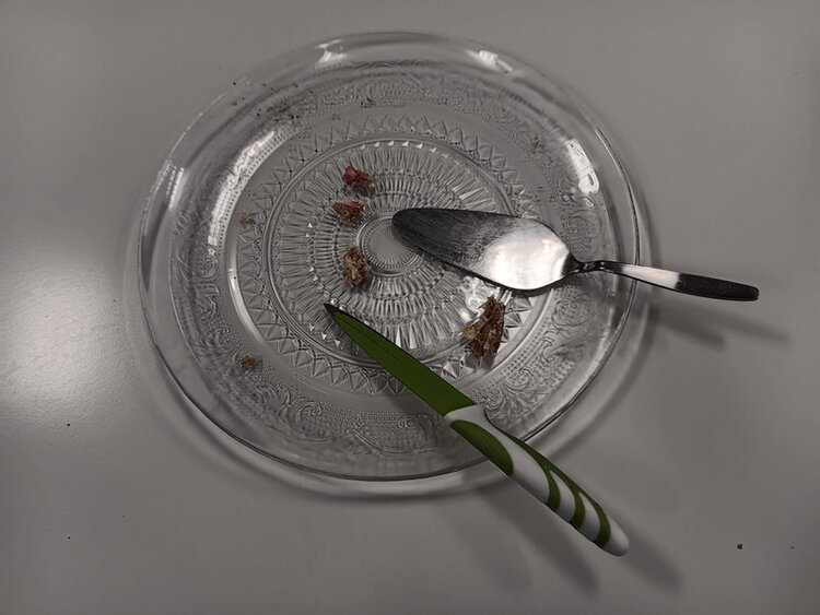 Leere, runde Glas-Tortenplatte auf einem weißen Tisch, auf der nur noch wenige Kuchenkrümel und Spuren von rosa Creme zu sehen sind. Daneben liegen ein Tortenheber aus Metall und ein grün-weißes Messer. Das Bild zeigt, dass die zuvor servierte Torte eines Teilnehmers, der diese zum Dank gebacken hatte, vollständig aufgegessen wurde, weil sie besonders köstlich schmeckte.