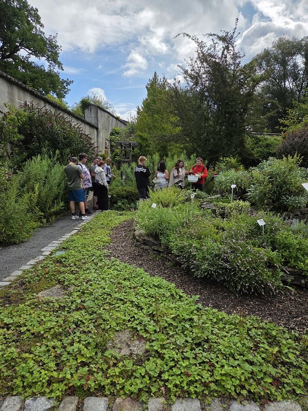 Eine Gruppe von Personen steht im Hintergrund auf einem Weg in einem Garten. Sie sind von üppigem Grün, Beeten und einer alten Steinmauer umgeben, die den Vordergrund dominieren. Einige Personen tragen Rucksäcke und scheinen in Schüsseln Kräuter zu sammeln..