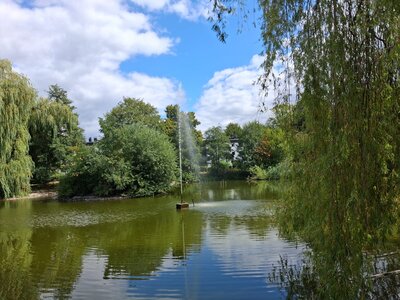 Grüner Teich in einer Parkanlage mit einer hohen Wasserfontäne, umgeben von Bäumen und überhängenden Weidenzweigen.