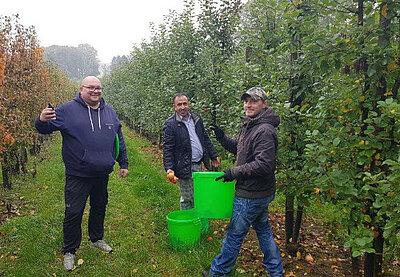 Apfelprojekt: von der Ernte bis zum Verzehr-1