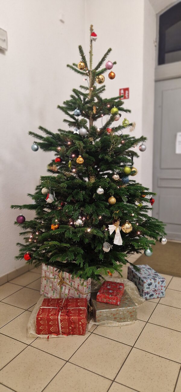 Geschmückter Weihnachtsbaum im Schulflur mit Lichterkette, bunten Kugeln und mehreren Geschenkpaketen darunter.