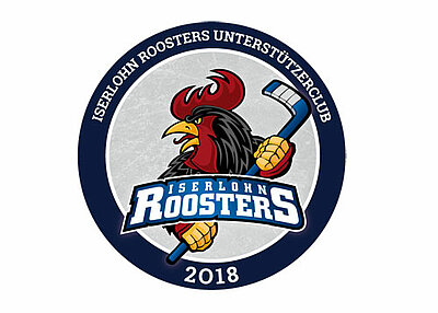 Euro-Schulen unterstützen Iserlohn Roosters  -1