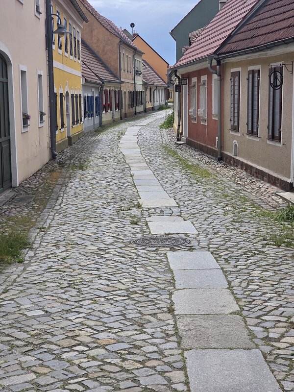 Eine Gasse aus Kopfsteinpflaster, zwischen dem Gras sprießt. Zu beiden Seiten stehen bunte Häuser.