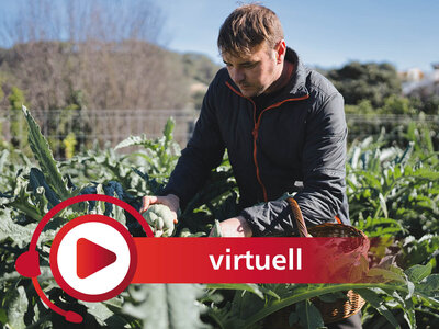 Ein Mann in einer dunklen Jacke erntet auf einem Feld grünes Blattgemüse. Er hält ein Blatt in der Hand und hat einen geflochtenen Korb neben sich. Im Vordergrund ist ein rotes Symbol mit einem Play-Button und dem Wort 'virtuell' eingeblendet. Im Hintergrund sind weitere Gemüsepflanzen und eine hügelige Landschaft zu sehen.