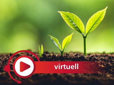 Das Bild zeigt 3 grüne Pflanzen mit 2 Blättern in unterschiedlichen Wachstumsphasen. Links kommen die Blättchen gerade aus der Erde, rechts sieht man neben der mittelgroßen die größere Pflanze. Unten sehen wir Erde, der Hintergrund ist grün. Ein roter Balken unten über der Erde mit einem weißen Kreis links und einem nach rechts zeigenden Dreieck darin trägt die Aufschrift virtuell.