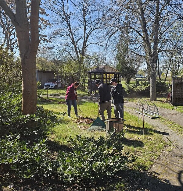 Drei Personen arbeiten im Freien an einem sonnigen Tag. Sie harken Laub zusammen. Im Hintergrund sind Bäume, ein Pavillon und ein geparktes Auto zu erkennen.
