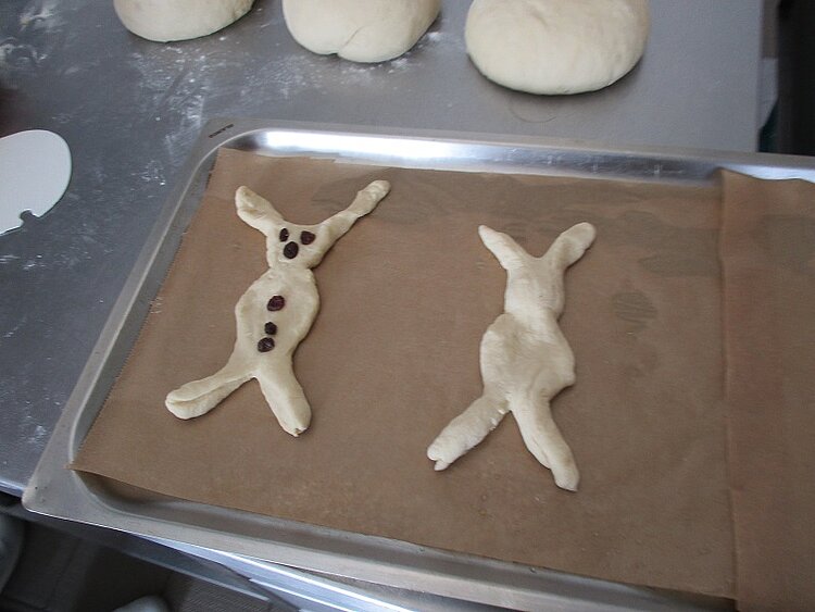 Projekt „Frühlingserwachen“ Projekt „Frühlingserwachen“