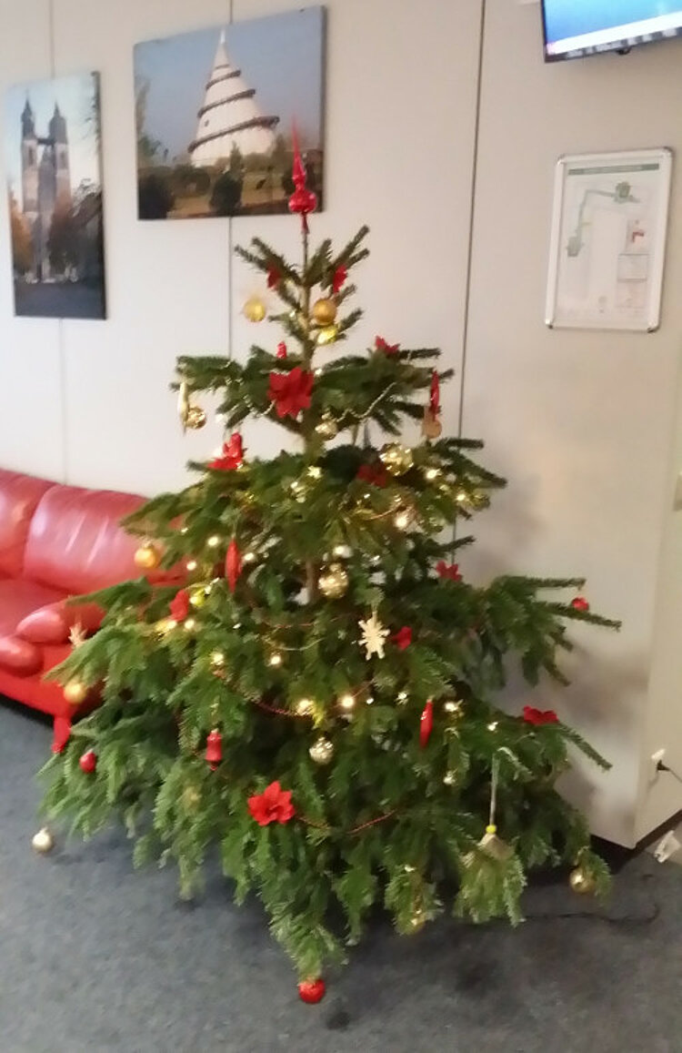 Es weihnachtet in Magdeburg Es weihnachtet in Magdeburg