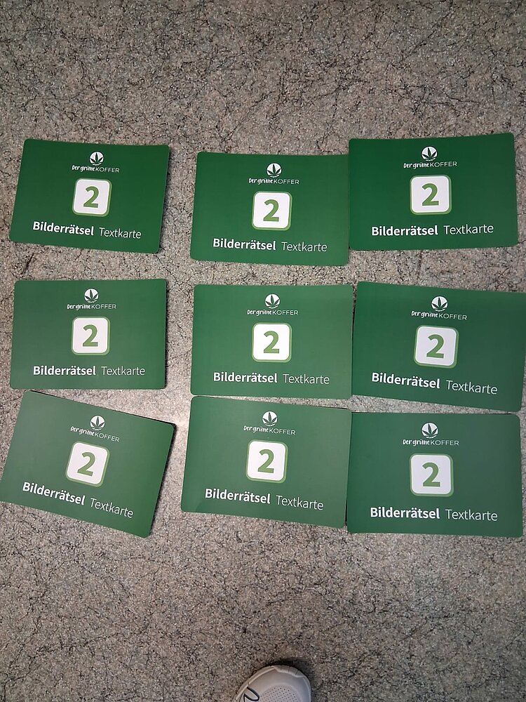 Acht grüne Karten liegen in zwei Reihen auf dem Boden. Auf den Karten steht „Der grüne Koffer – Bilderrätsel Textkarte 2“.