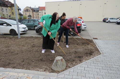 Aktion "Wildblumenwiese": Ackern für den Earth Day-1