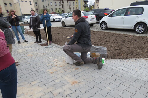 Aktion "Wildblumenwiese": Ackern für den Earth Day Aktion "Wildblumenwiese": Ackern für den Earth Day-5