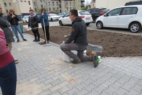 Aktion "Wildblumenwiese": Ackern für den Earth Day-5