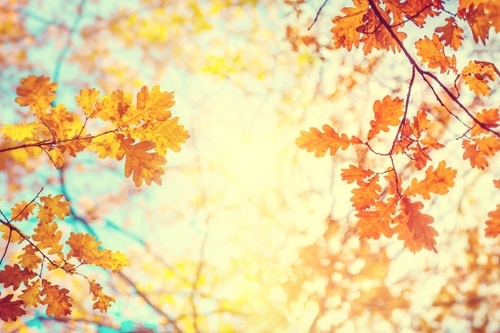 Willkommen zurück aus den Herbstferien! Willkommen zurück aus den Herbstferien!-1