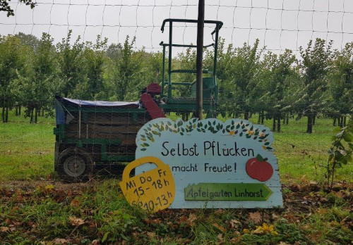Apfelprojekt: von der Ernte bis zum Verzehr Apfelprojekt: von der Ernte bis zum Verzehr-2