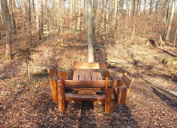 Teilnehmer*innen verschönern den Leinawald Teilnehmer*innen verschönern den Leinawald-2
