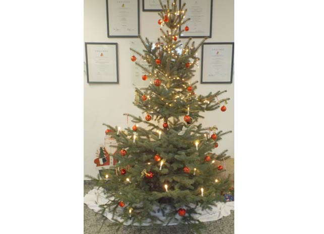Frohe Weihnachten und einen guten Rutsch! Frohe Weihnachten und einen guten Rutsch!-2