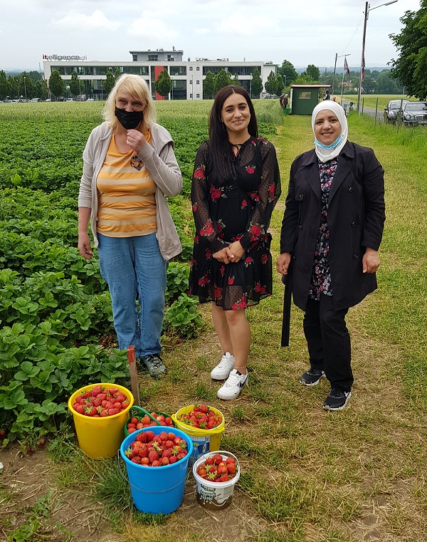 Selbstgemachte Marmelade wie bei Oma! Selbstgemachte Marmelade wie bei Oma!-2