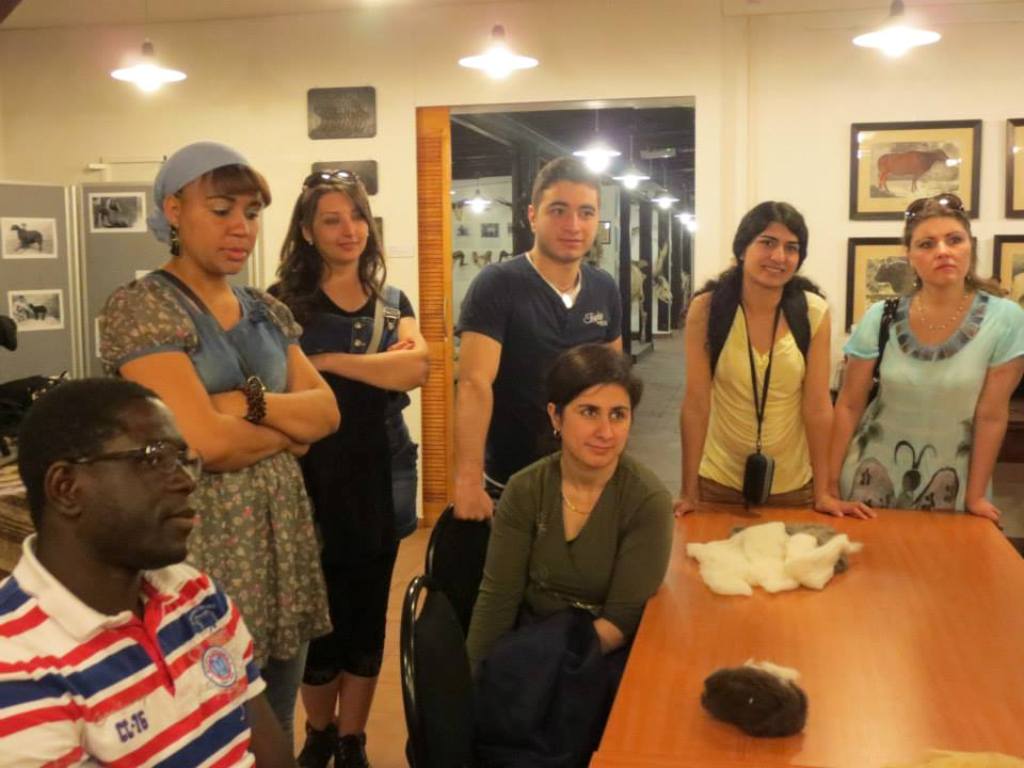 Integrationskurs besuchte Museum für Haustierkunde Integrationskurs besuchte Museum für Haustierkunde-2