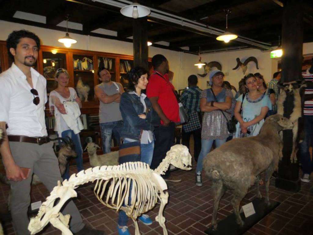 Integrationskurs besuchte Museum für Haustierkunde-4