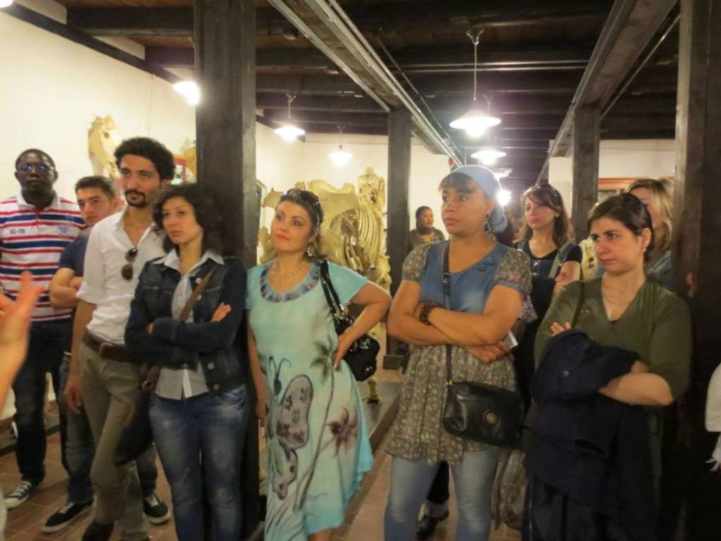 Integrationskurs besuchte Museum für Haustierkunde Integrationskurs besuchte Museum für Haustierkunde-5