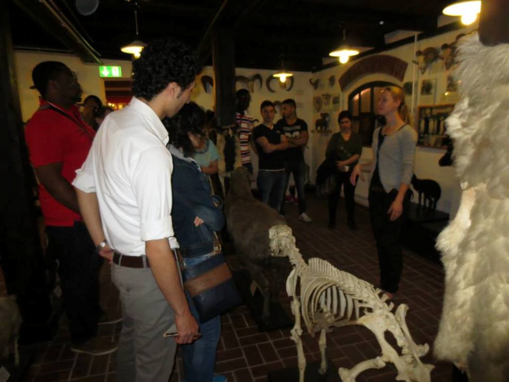 Integrationskurs besuchte Museum für Haustierkunde Integrationskurs besuchte Museum für Haustierkunde-6