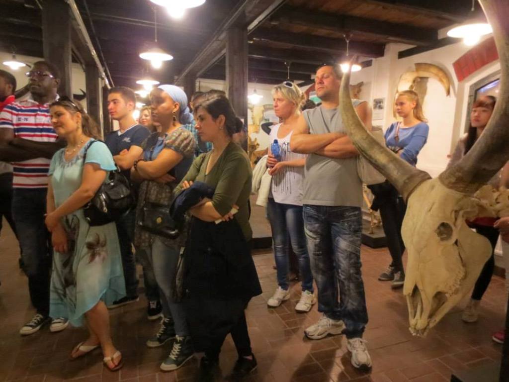 Integrationskurs besuchte Museum für Haustierkunde Integrationskurs besuchte Museum für Haustierkunde-12