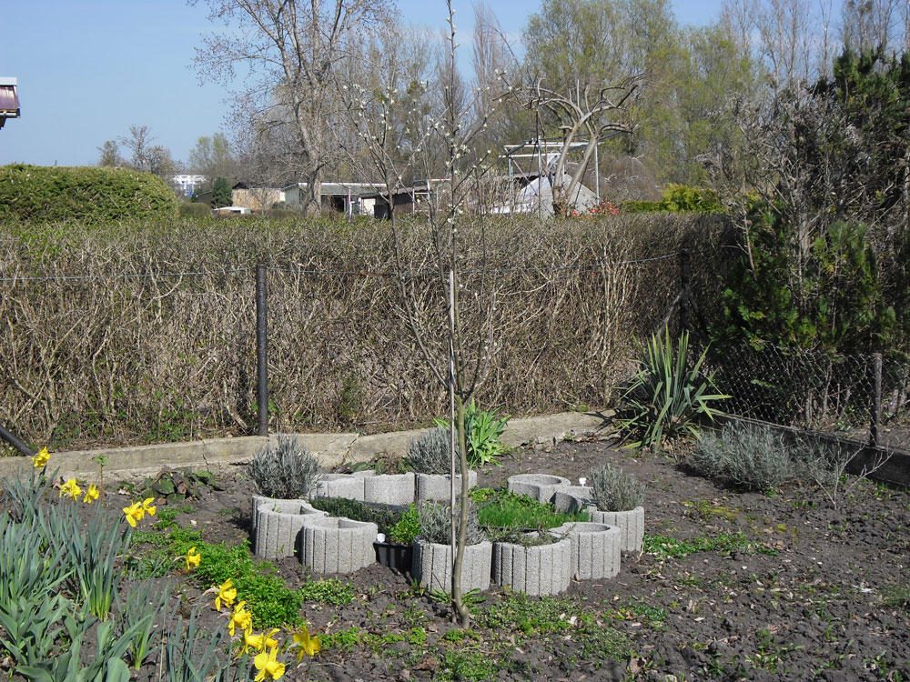 Frühlingserwachen im „BIWAQ-Garten“ Frühlingserwachen im „BIWAQ-Garten“ -3