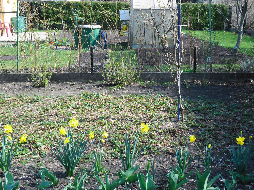 Frühlingserwachen im „BIWAQ-Garten“ Frühlingserwachen im „BIWAQ-Garten“ -1
