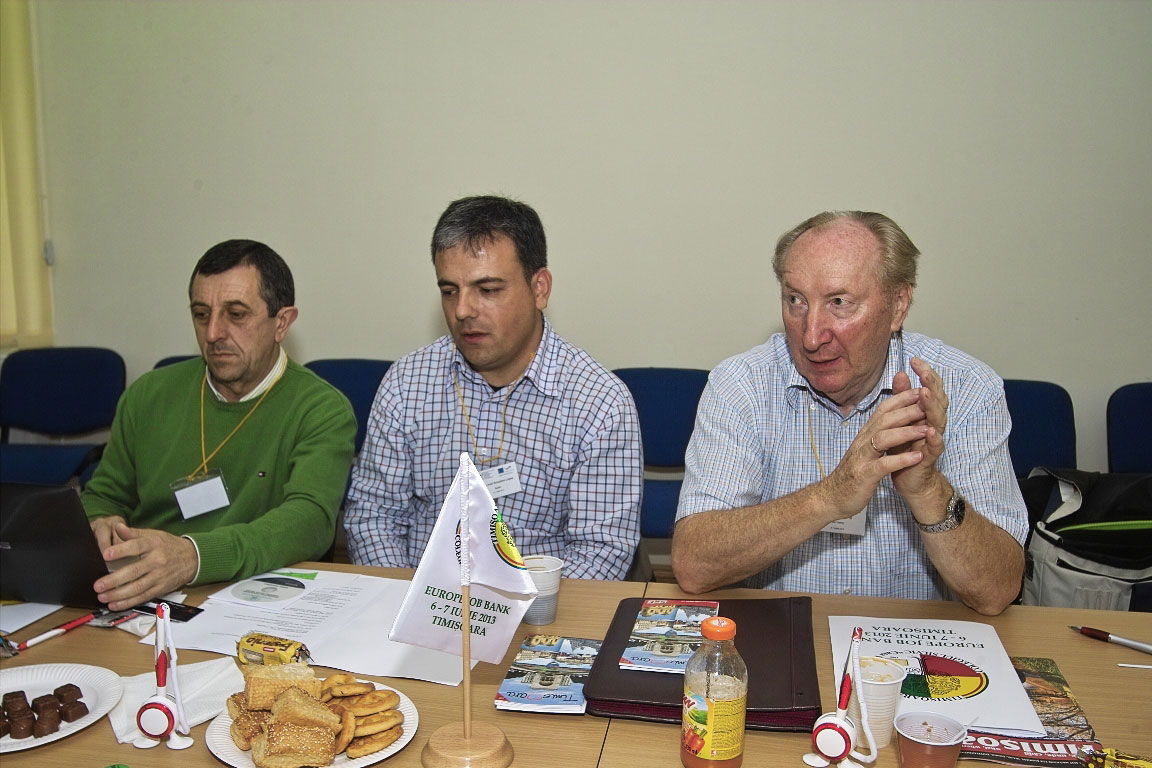 Partnerschaftstreffen zu Projekt "Europe Job Bank" in Timisoara-9